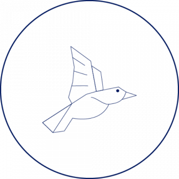 bird-icon-blue